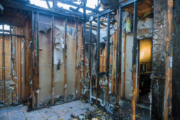 Professional Fire Damage Removal technician working in La Huerta, NM